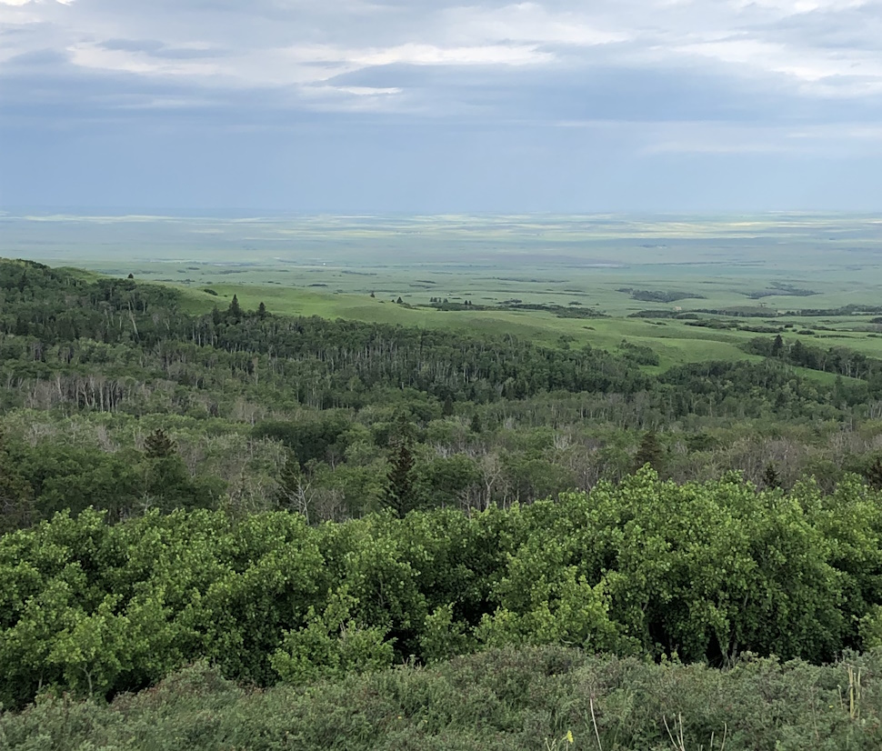 Explore Saskatchewan's natural wonders this summer